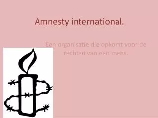 amnesty international
