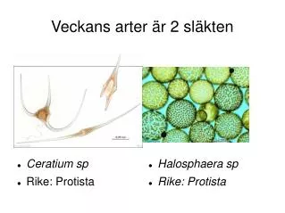 veckans arter r 2 sl kten