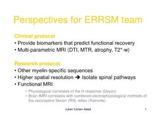 Perspectives for ERRSM team