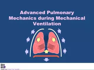 Advanced Pulmonary Mechanics during Mechanical Ventilation