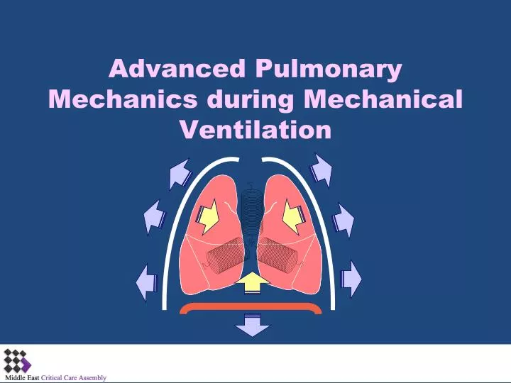 advanced pulmonary mechanics during mechanical ventilation