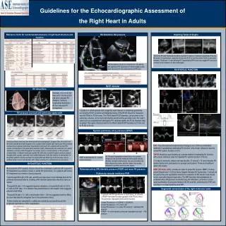 Guidelines for the Echocardiographic Assessment of the Right Heart in Adults