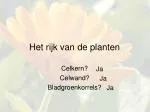Het rijk van de planten - slide 1