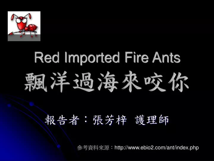 red imported fire ants