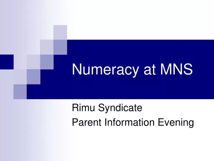 numeracy at mns