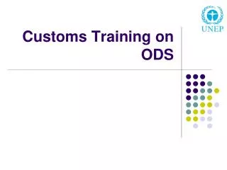 Customs Training on ODS