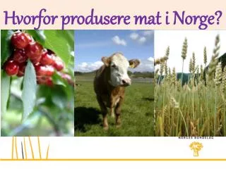 hvorfor produsere mat i norge