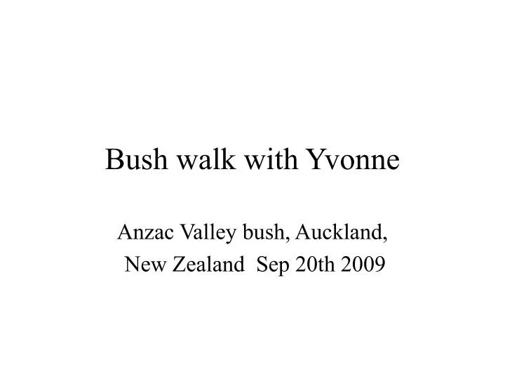 bush walk with yvonne