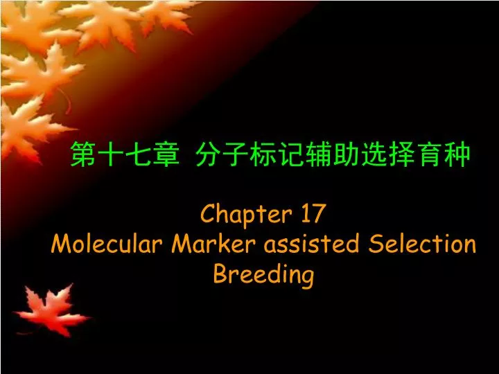 chapter 17 molecular marker assisted selection breeding