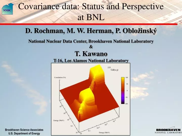 covariance data status and perspective at bnl