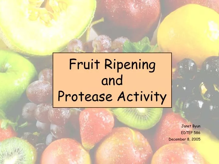 fruit ripening and protease activity