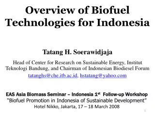 Overview of Biofuel Technologies for Indonesia