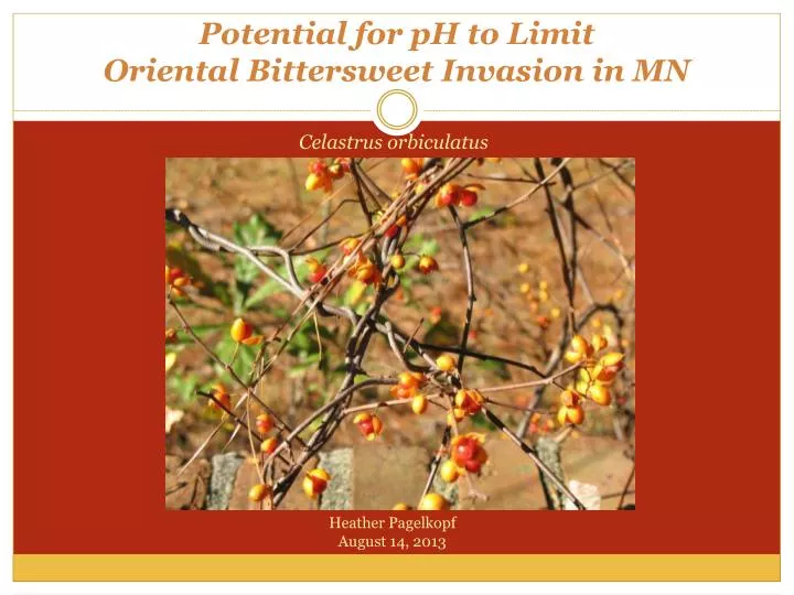 potential for ph to limit oriental bittersweet invasion in mn