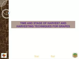 TIME AND STAGE OF HARVEST AND HARVESTING TECHNIQUES FOR GRAPES