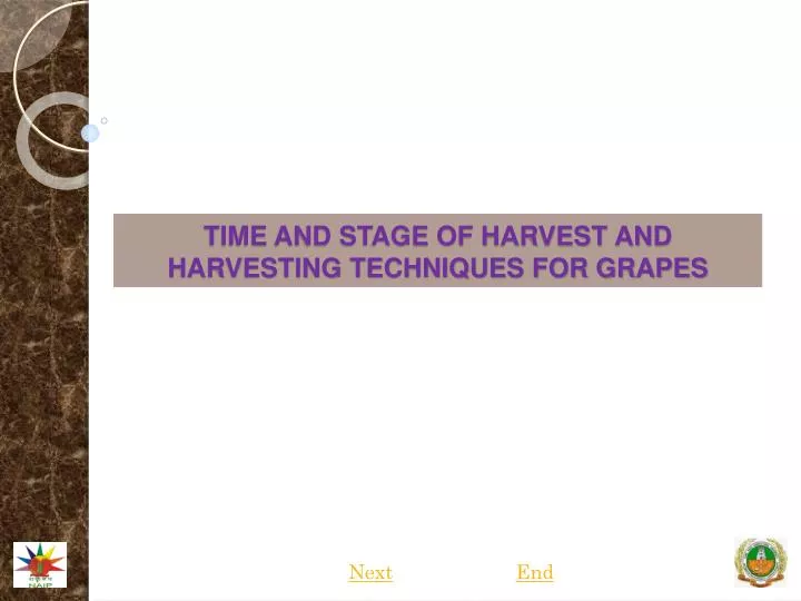 time and stage of harvest and harvesting techniques for grapes