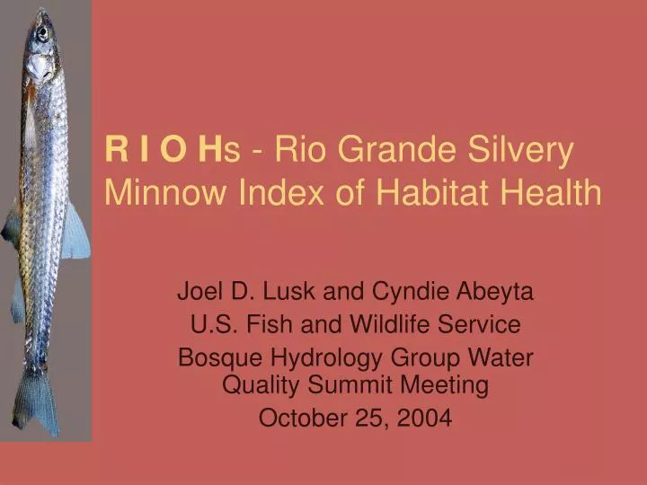 r i o h s rio grande silvery minnow index of habitat health