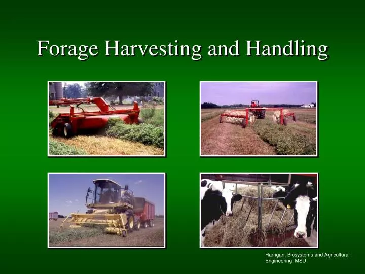forage harvesting and handling