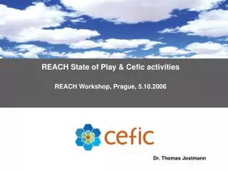 REACH State of Play &amp; Cefic activities REACH Workshop , Prague , 5 .10.2006