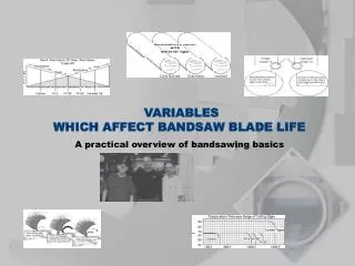 VARIABLES WHICH AFFECT BANDSAW BLADE LIFE A practical overview of bandsawing basics