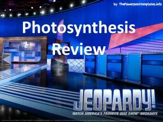 Photosynthesis Review