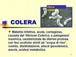 COLERA - slide 1