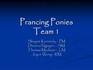 Prancing Ponies Team 1