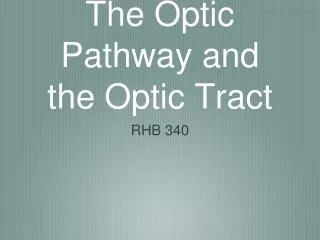 the optic pathway and the optic tract