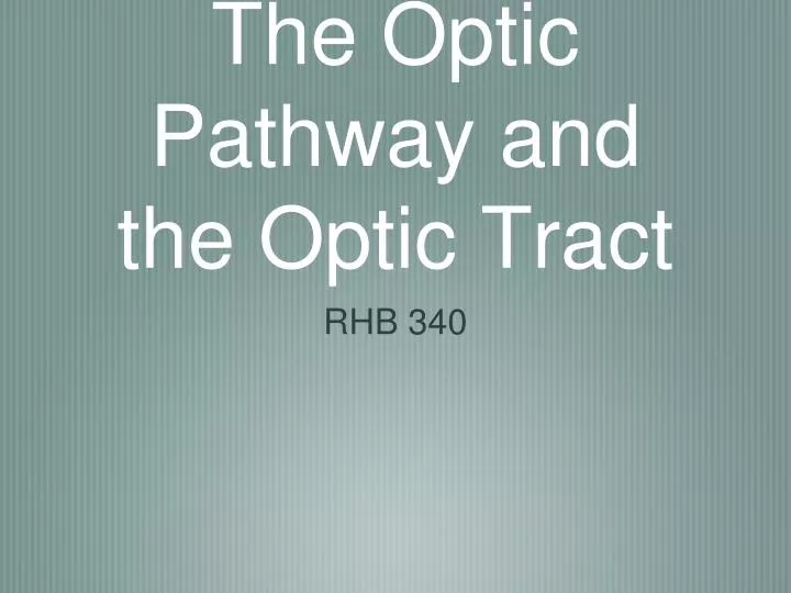 the optic pathway and the optic tract