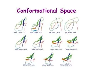 Conformational Space