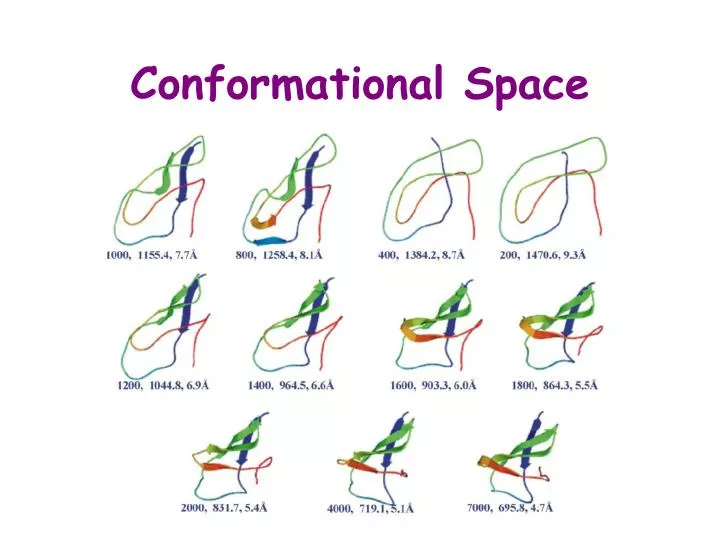 conformational space