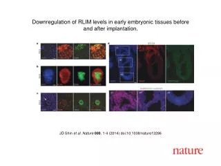 JD Shin et al. Nature 000 , 1-4 (2014) doi:10.1038/nature13286