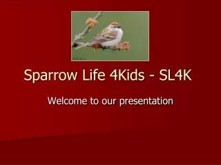 Sparrow Life 4Kids - SL4K