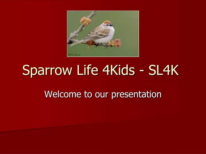 sparrow life 4kids sl4k