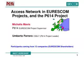 Access Network in EURESCOM Projects, and the P614 Project