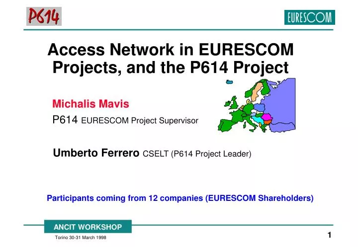 access network in eurescom projects and the p614 project