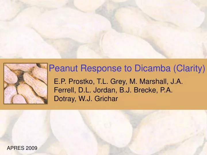 peanut response to dicamba clarity