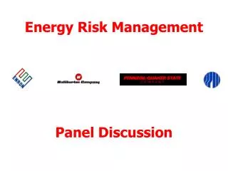 Energy Risk Management Panel Discussion