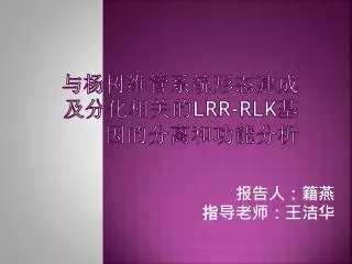 lrr rlk
