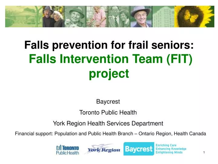 falls prevention for frail seniors falls intervention team fit project