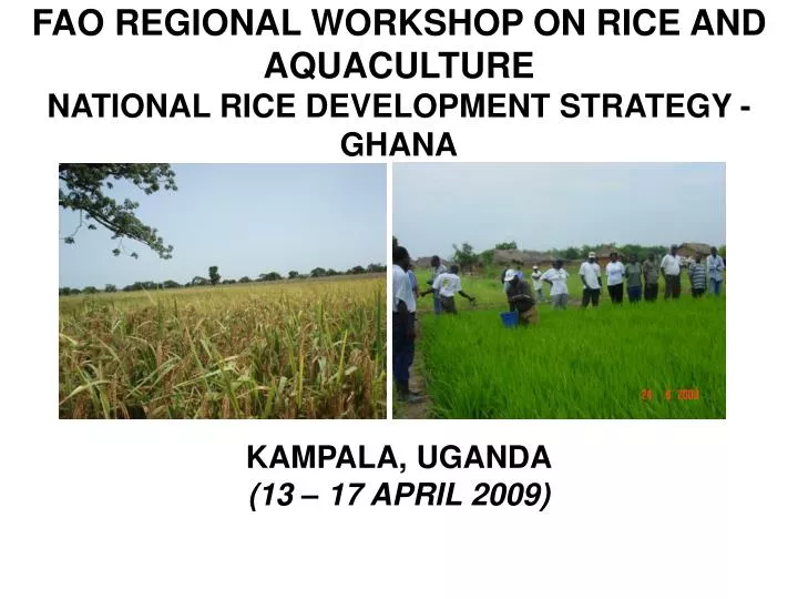 fao regional workshop on rice and aquaculture national rice development strategy ghana