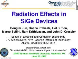 Radiation Effects in SiGe Devices