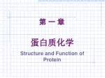 蛋白质化学 - slide 1