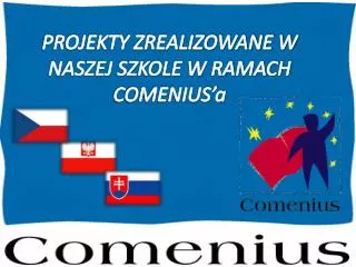 PROJEKTY ZREALIZOWANE W NASZEJ SZKOLE W RAMACH COMENIUS’a