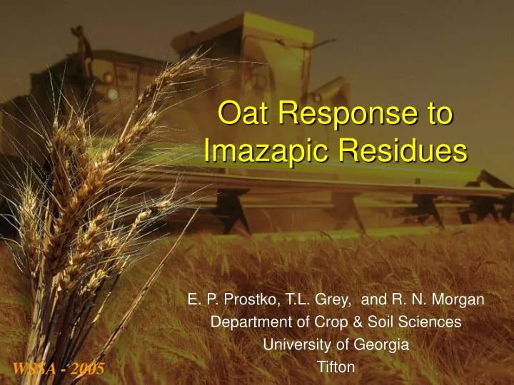oat response to imazapic residues