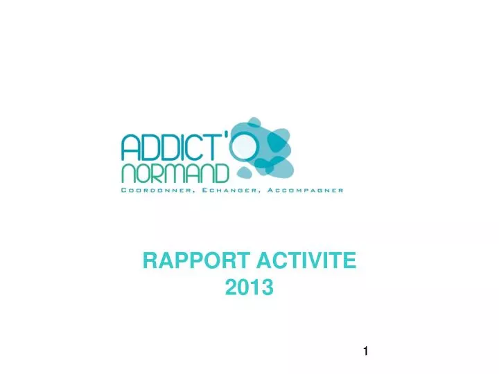 rapport activite 2013