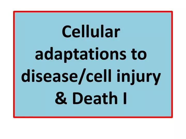 cellular adaptations to disease cell injury death i
