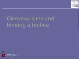 Cleavage sites and binding affinities