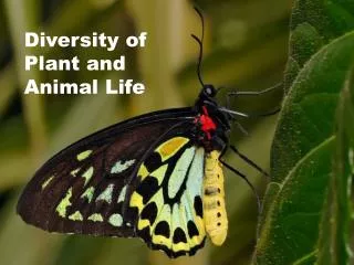 Diversity of Plant and Animal Life