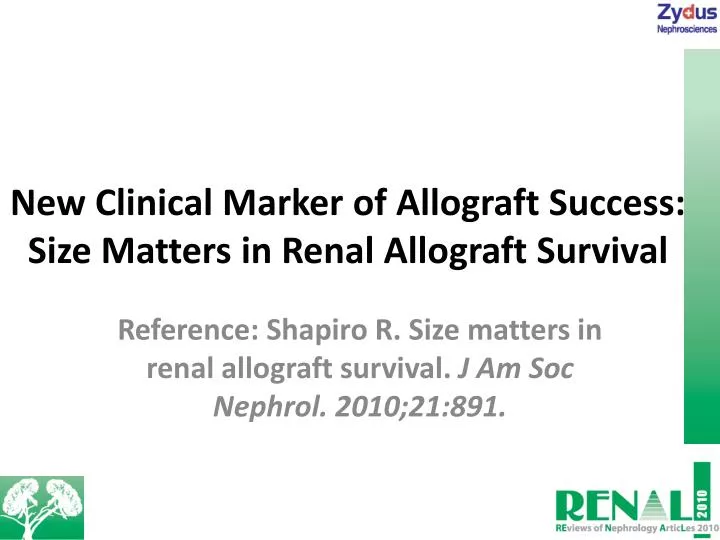 new clinical marker of allograft success size matters in renal allograft survival