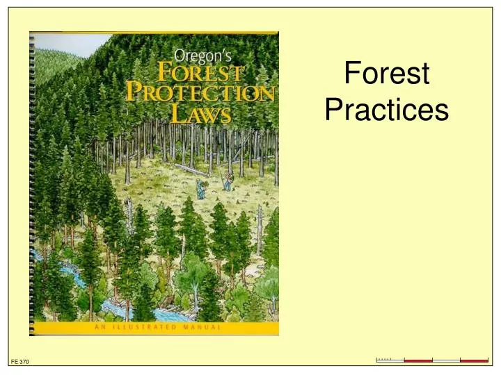 forest practices